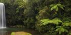 Milla Milla Falls - QLD (PBH4 00 16941)